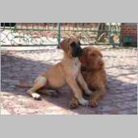 Bonsai and Tonic.jpg